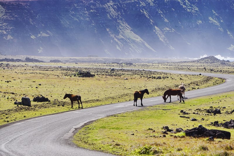 Easter Island, Chile